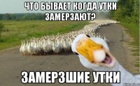 что бывает когда утки замерзают? замерзшие утки