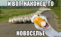 И вот, наконец-то НОВОСЕЛЬЕ