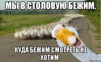 Мы в столовую бежим. Куда бежим смотреть не хотим.