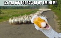 Ух ты афтографы от Eminem! 