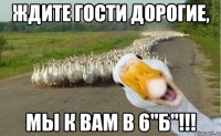 Ждите гости дорогие, мы к вам в 6"Б"!!!