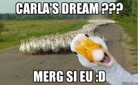 carla's dream ??? merg si eu :D