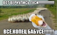 ВОТ ВЕРНУЛИСЬ ГУСИ!!!!!!!!!!!!!! ВСЁ,КОПЕЦ БАБУСЕ!!!!!!!