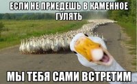 Если не приедешь в каменное гулять мы тебя сами встретим