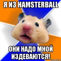 Я из Hamsterball Они надо мной издеваются!