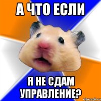 а что если я не сдам управление?