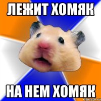 лежит хомяк на нем хомяк