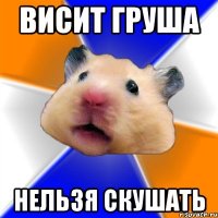 Висит груша Нельзя скушать