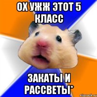 ох ужж этот 5 класс закаты и рассветы*