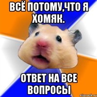 Всё потому,что я хомяк. Ответ на все вопросы