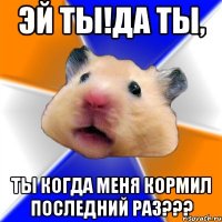 Эй ты!Да ты, ты когда меня кормил последний раз???