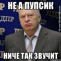 не а пупсик ниче так звучит