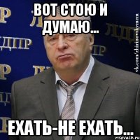 Вот стою и думаю... Ехать-не ехать...