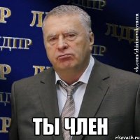  ты член