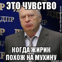 Это чувство Когда жирик похож на мухину