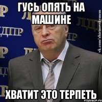 Гусь опять на машине Хватит это терпеть