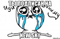 ты подписан на New Sky