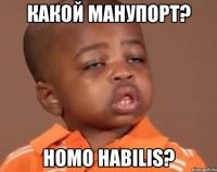 Какой манупорт? Homo Habilis?