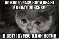 Кожного разу, коли Яна не йде на польську- в світі сумує один котик