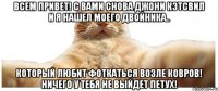 Всем привет! С вами снова Джони Кэтсвил и я нашел моего двойника.. который любит фоткаться возле ковров! Ничего у тебя не выйдет Петух!