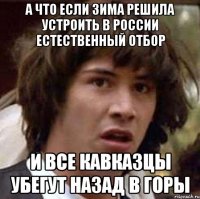 А что если зима решила устроить в России естественный отбор и все кавказцы убегут назад в горы