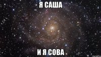 я саша и я сова