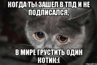 Когда ты зашел в ТПД и не подписался, В мире грустить один котик:(