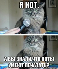 Я кот. А вы знали,что коты умеют печатать?