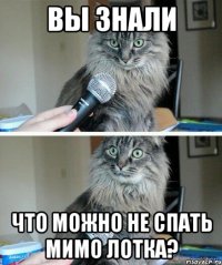 Вы знали Что можно не спать мимо лотка?