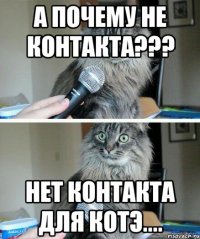 А почему не контакта??? нет контакта для котэ....