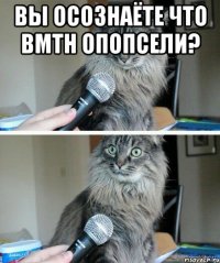 Вы осознаёте что BMTH опопсели? 