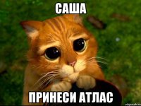 САША ПРИНЕСИ АТЛАС