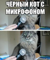 Чёрный кот с микрофоном 