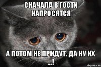 Сначала в гости напросятся А потом не придут. Да ну их ...!