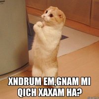  xndrum em,gnam mi qich xaxam ha?