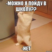 -Можно я пойду в школу?? -Нет