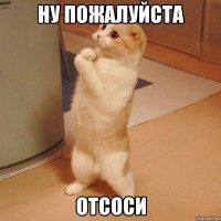 ну пожалуйста отсоси