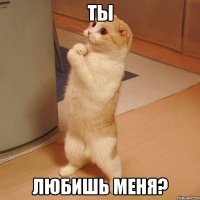 Ты Любишь меня?