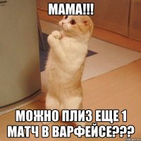 мама!!! МОЖНО ПЛИЗ ЕЩЕ 1 МАТЧ В ВАРФЕЙСЕ???