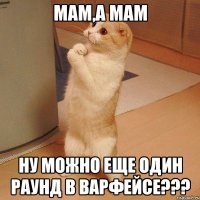 Мам,а мам Ну можно еще один раунд в варфейсе???