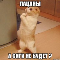 ПАЦАНЫ А СИГИ НЕ БУДЕТ ?