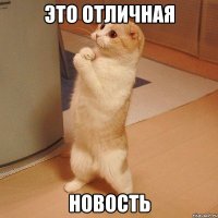 это отличная новость