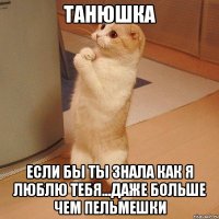 Танюшка Если бы ты знала как я люблю тебя...даже больше чем пельмешки