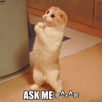  ASK ME =^-^=