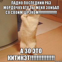 Ладно последний раз мордочку ато ты меня зоибал со своим шрэком!!!!!!!!!!!!!!!! А зо это китикэт!!!!!!!!!!!!!!!