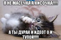 Я не масечка а кисочка!!!! А ты дурак и идеот о и тупой!!!!