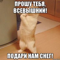 Прошу тебя, Всевышний! Подари нам снег!