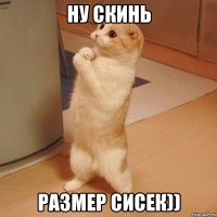 Ну скинь Размер сисек))