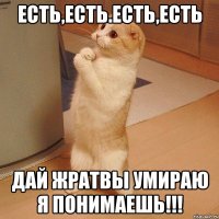 Есть,есть.есть,есть ДАЙ ЖРАТВЫ УМИРАЮ Я ПОНИМАЕШЬ!!!