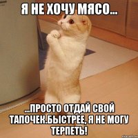 Я не хочу мясо... ...Просто отдай свой тапочек.Быстрее, я не могу терпеть!